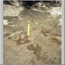 px88b-s4-9 dodm2.JPG